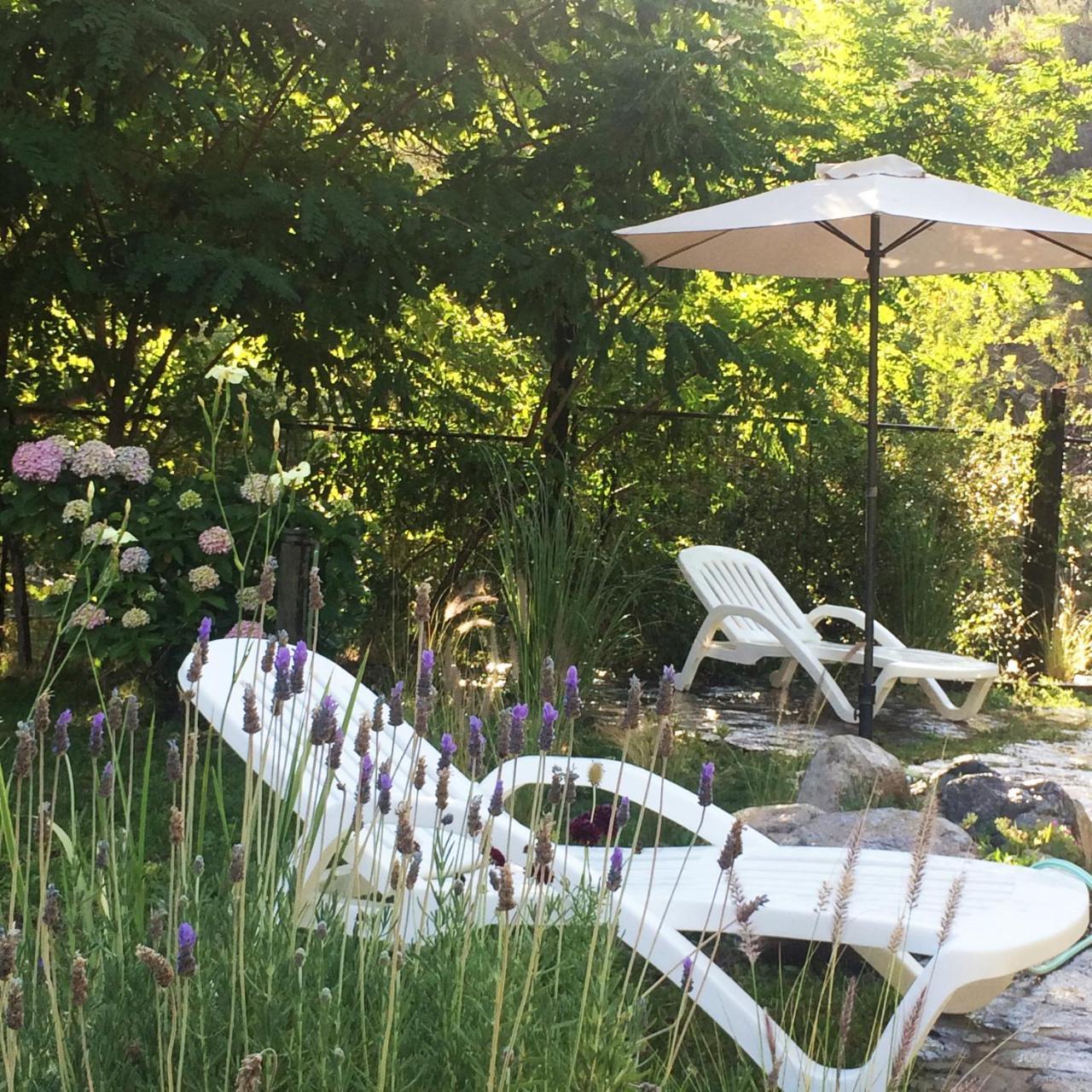 Casona El Resguardo - Solo Adultos Bed & Breakfast Río Blanco Dış mekan fotoğraf
