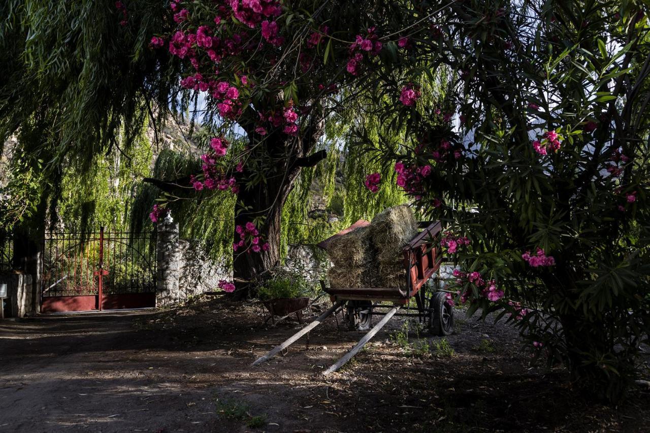 Casona El Resguardo - Solo Adultos Bed & Breakfast Río Blanco Dış mekan fotoğraf